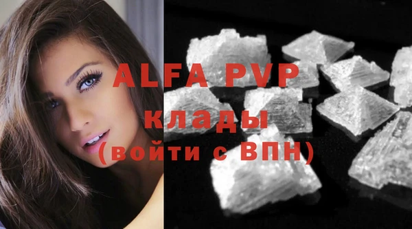 сатива Алзамай