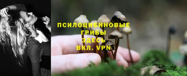 таблы Алексеевка