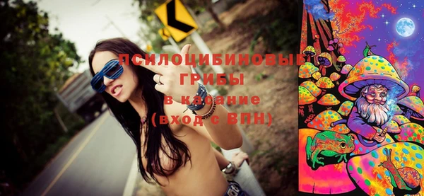 метамфетамин Алексин