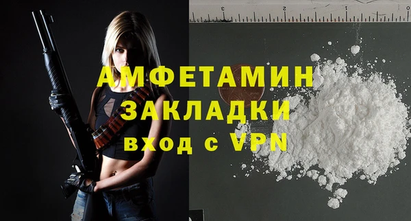 сатива Алзамай