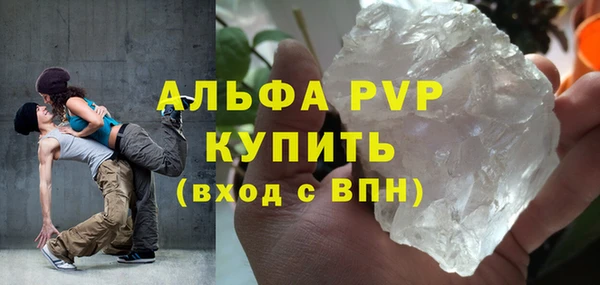 сатива Алзамай